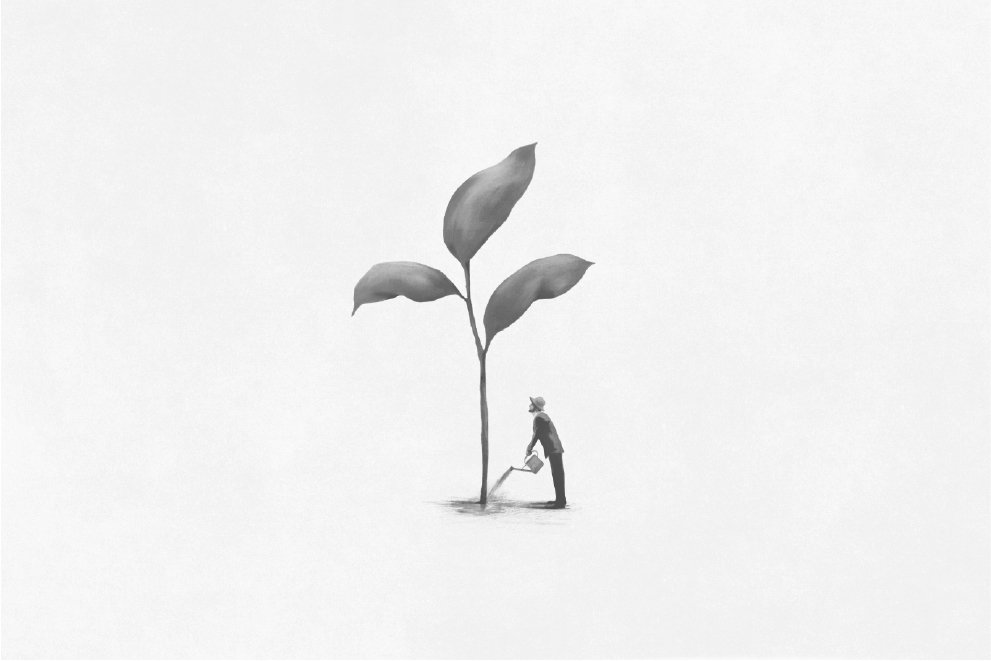 Person nurturing a growing plant representing long-term investment advisory